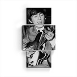 Cuadro Triptico Decorativo The Beatles George Harrison