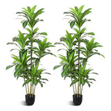 Árboles Artificiales Dracaena Fragrans De 6 Pies 8 Cab...