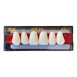 Dente Postiço Provisório Para Prótese Dentária -  Superior