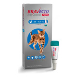 Bravecto Pipeta Gato 2,8 - 6,25 Kg Anti Pulgas Y Ácaros - Ar