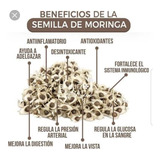 2000 Semillas De Moringa Orgánica