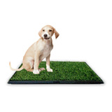 Baño Ecológico Xxl Perros Gatos Doggy Potty Petwoow R1032