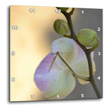 3drose Dpp__3 Elegante Reloj De Pared Zen Con Flores De Orqu