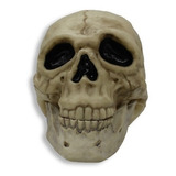 Calavera Cráneo Pirata Decoración Halloween 