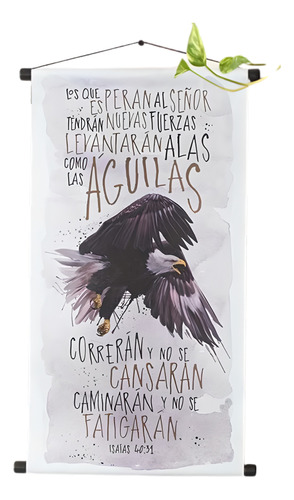 Banner Grande Águila