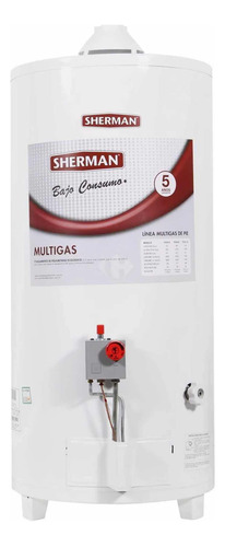 Termotanque Multigas Sherman Tpgp080msh13 80 Lts Conex Sup