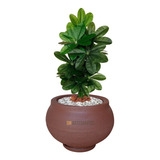 Vaso Decorativo Para Plantas De Polietileno N°1 -23x27x27