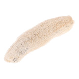 Luffa Esponja Orgánica Natural 