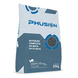 5kg Phusion - Rosa Do Deserto - Caudex Grosso