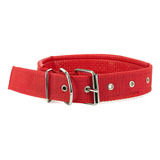 Coleira Para Pet Clássica Grande 4.3cm Cor Vermelho