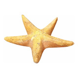  Estrella De Mar Figura En Onix Piedra Natural Artesanal