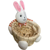 Canasta Lindo Conejito Huevos De Pascua Organizador Regalo