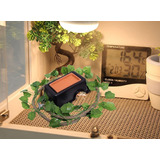 Petwakey-st Caja De Escondite De Reptiles, Humidificador D