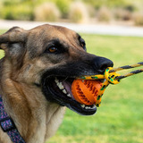 Runball Juguete Interactivo Para Perros Al Aire Libre, Para