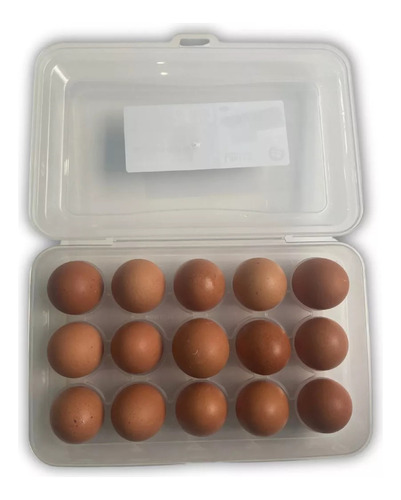 Porta Huevos Huevera X15 C Tapa Y Traba Organizador Calidad