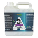 Ph Up 100ml