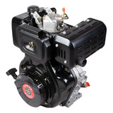 Motor Forte Diesel 10 Hp Arranque Manual Fd400dw