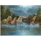 Ceaco Puzzle, 550 Pieces, Horses, High Quality