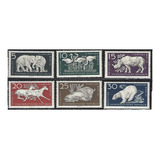 1956 Fauna- Zoologico Oso Elefante- Alemania (sellos) Mint