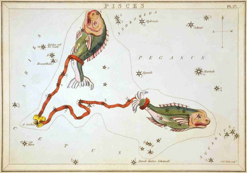 Lienzo Canvas Arte Constelación Piscis 1825 Astronomía 50x72