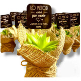 Souvenir Mini Suculentas O Cactus Pack 10 Eventos Isiflor
