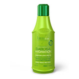 Shampoo De Babosa Hydration Forever Liss 300ml