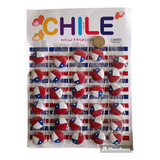 30 Mini Chapitas Pin Bandera Chilena 