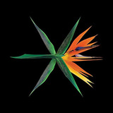 Cd Exo - [the War] 4th Album Chinese Random Verion (regular
