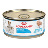 Royal Canin Alimento Pienso Perro Starter Lata 150 Grs *