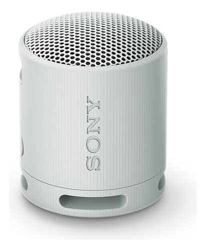 Parlante Inalámbrico Portátil Srs-xb100 Gris Sony 