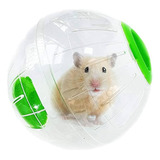 Bola Esfera Para Hamster, Erizos 20cm Juguetes Roedores - Ar