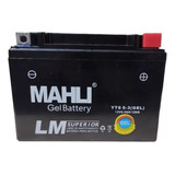 Bateria Gel Ytx6.5l 12n6.5-3b Sapucai125 150 Ceccato 150 Mav