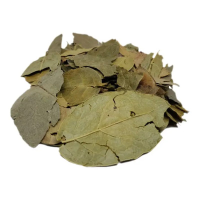 Hoja De Boldo Peruana Auténtica 1 Kilogramo | Envío gratis