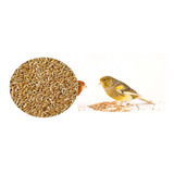 Alpiste Aves Alimento Canarios Catitas Ninfas 1 Kg 