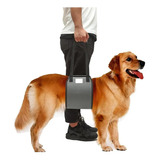 Arnes Perros Rehabilitacion Cadera Displasia Talle Medium