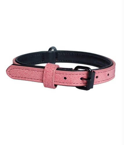 Collar Ajustable Para Perros Con Hebilla Colores Surtidos