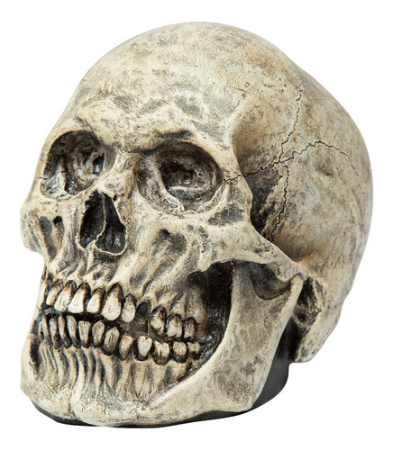 Decoración Halloween Craneo Humano, Calavera Skull Human