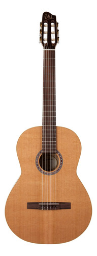 Godin 049691 Guitarra Clasica Acustica De Cuerda De Nylon Et