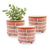 Kit 3 Vaso De Plantas Flores Redondo Decorativo Arranjo 1,3l