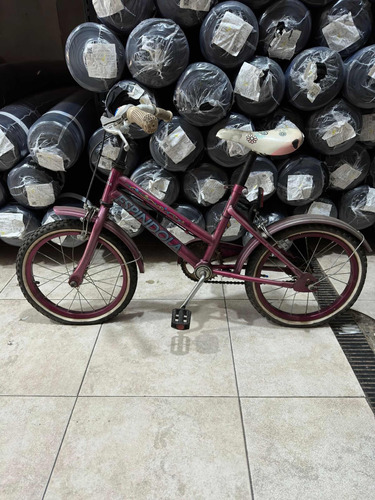 Bicicleta Infantil Rodado 16