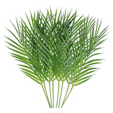 Hojas Palma Areca Artificiales Hojas Palmera Tropical Ramo F