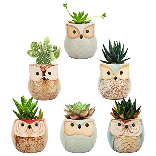 Mini Macetas De Cerámica Set X6 Unidades Buhos 6cm Animales