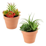 Plantas Suculentas Artificiales, Variadas Decorativa