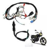 Arnes Completo Para Moto Ft-150ts