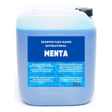 Shampoo Para Manos Antibacterial 20 L