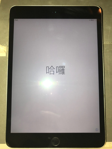 iPad Mini 3 16 Gb