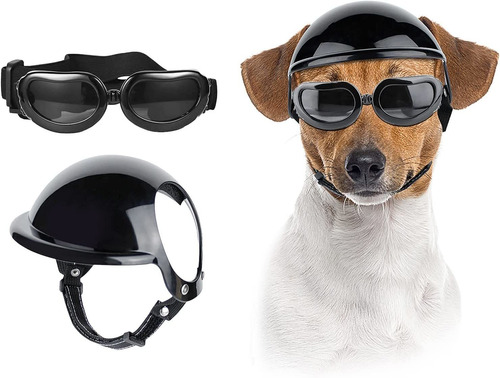 Casco Y Lentes De Motocicleta Para Perro Pequeño