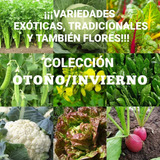 Combo De Semillas!! Huerta Otoño/invierno Flores Y Exóticas!