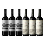 Vinos Tintos Saint Felicien Los Durmientes Mix X6