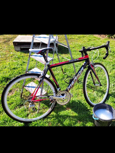 Vendo Rutera Merida!!!